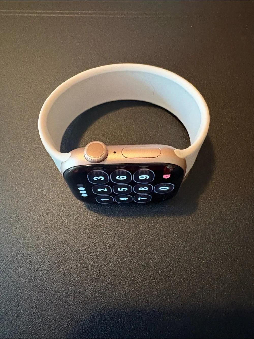Apple Solo Loop BAND ONLY.